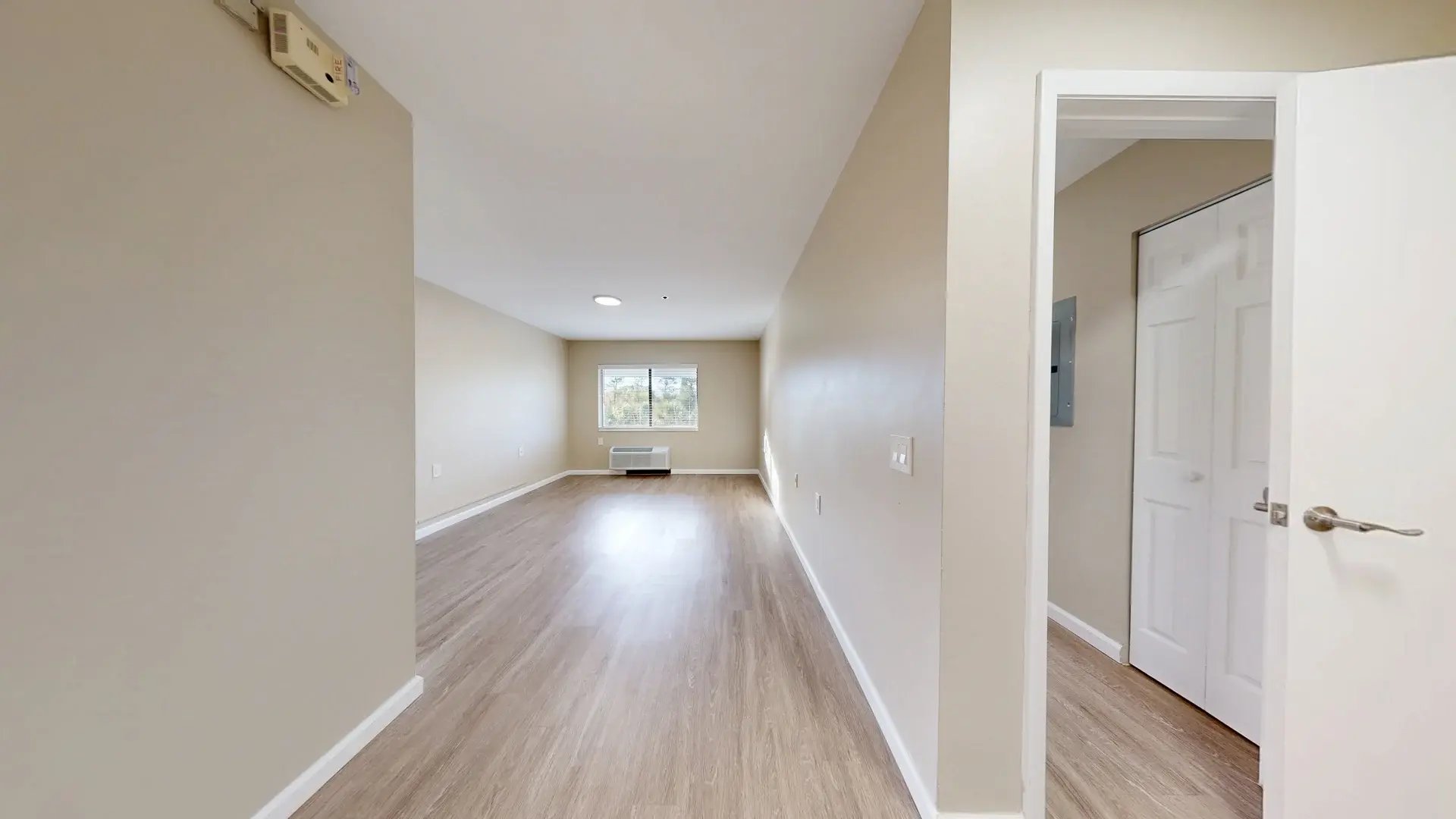 ormond pine 1