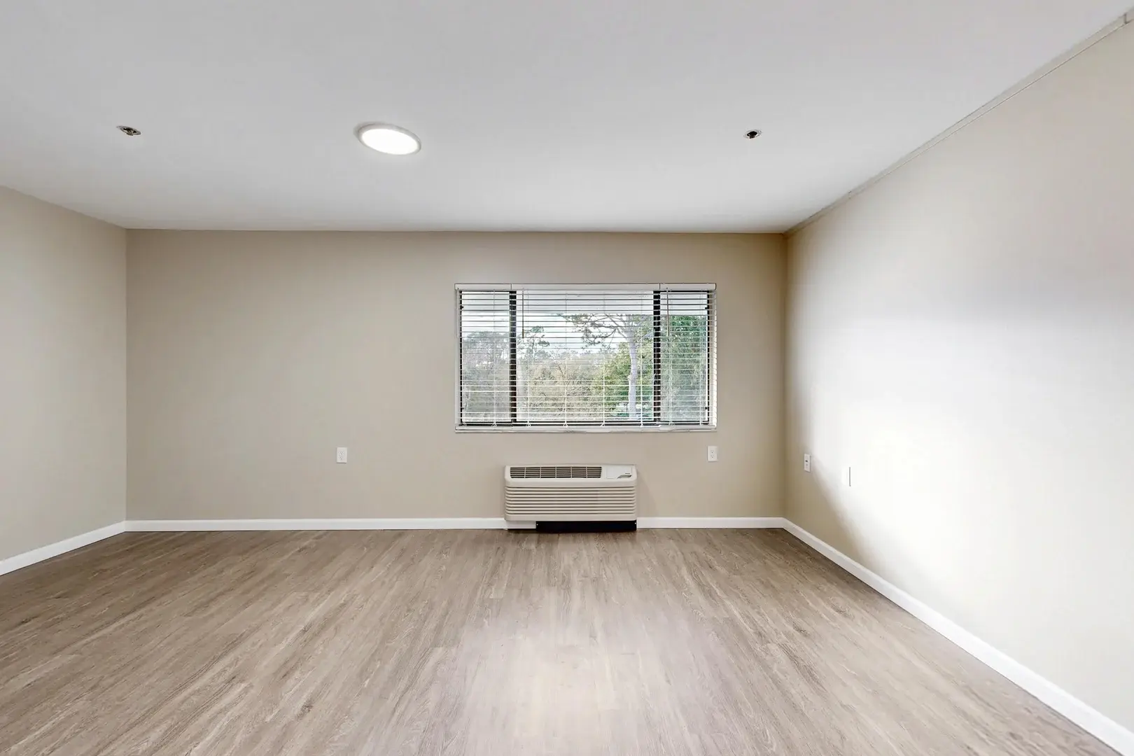 Ormond oak 2