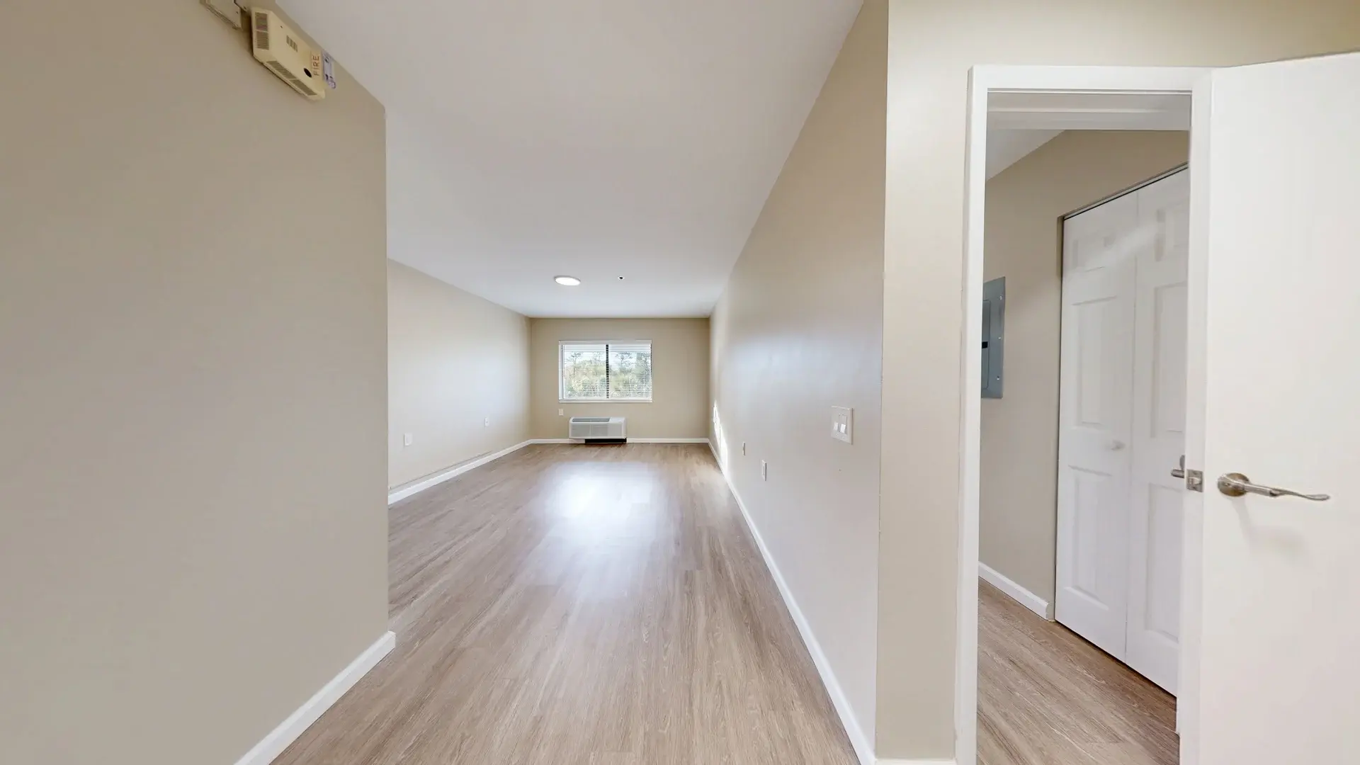 ormond pine 1